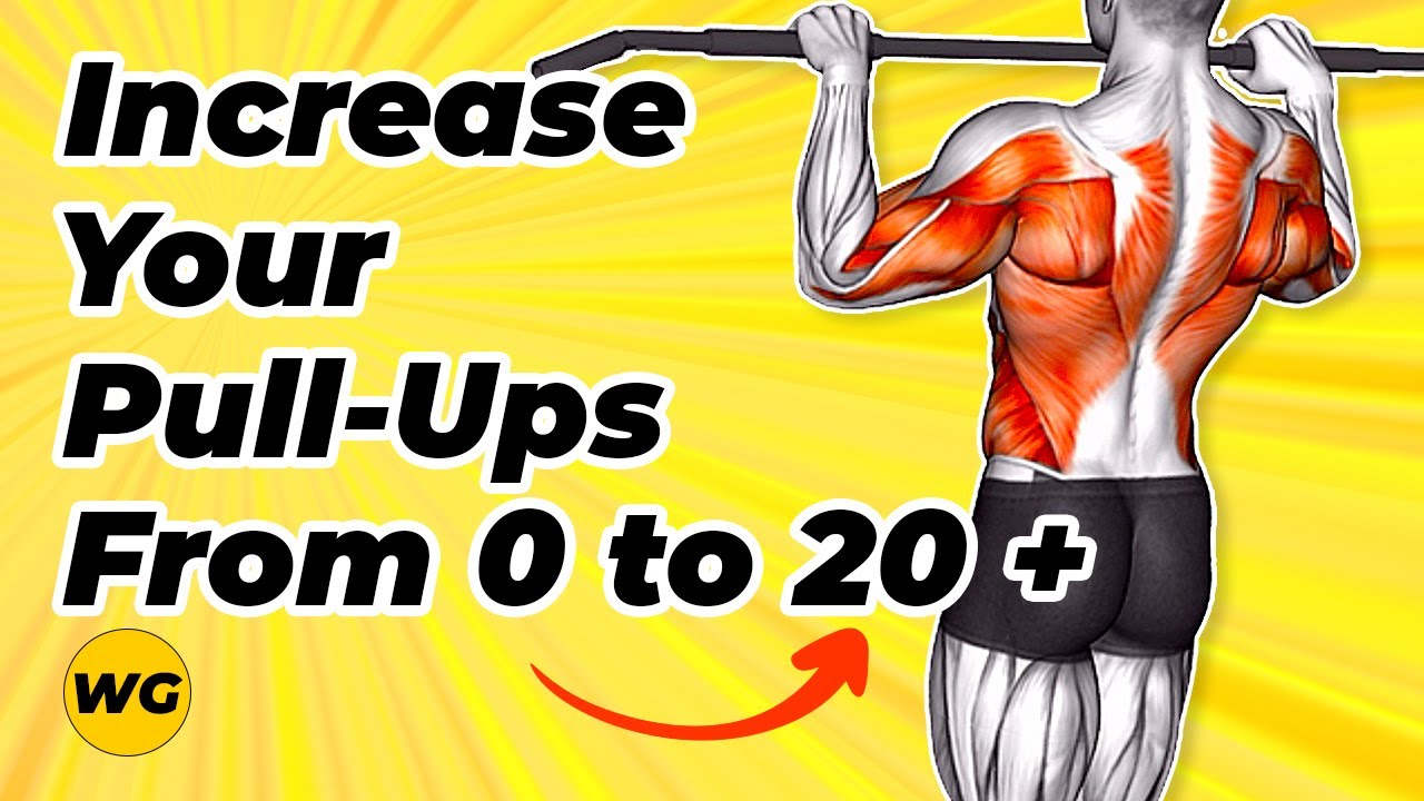 Increase Your Pull-Ups From 0 to 20+ Reps (TOP 20 Exercises For Pull Up ...