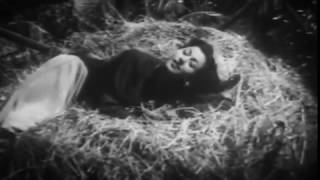 Tarana - Bol Papihe Bol Re