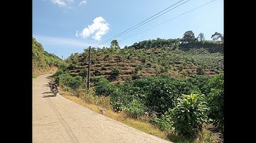 4.8 sào Bảo Lộc 70m mặt đường betong chỉ 3ty