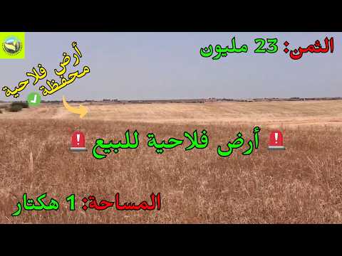 للبيع أرض فلاحية محفظة هكتار بسيدي علال المصدر قرب الخميسات صالحة للسكن والفلاحة 🌿