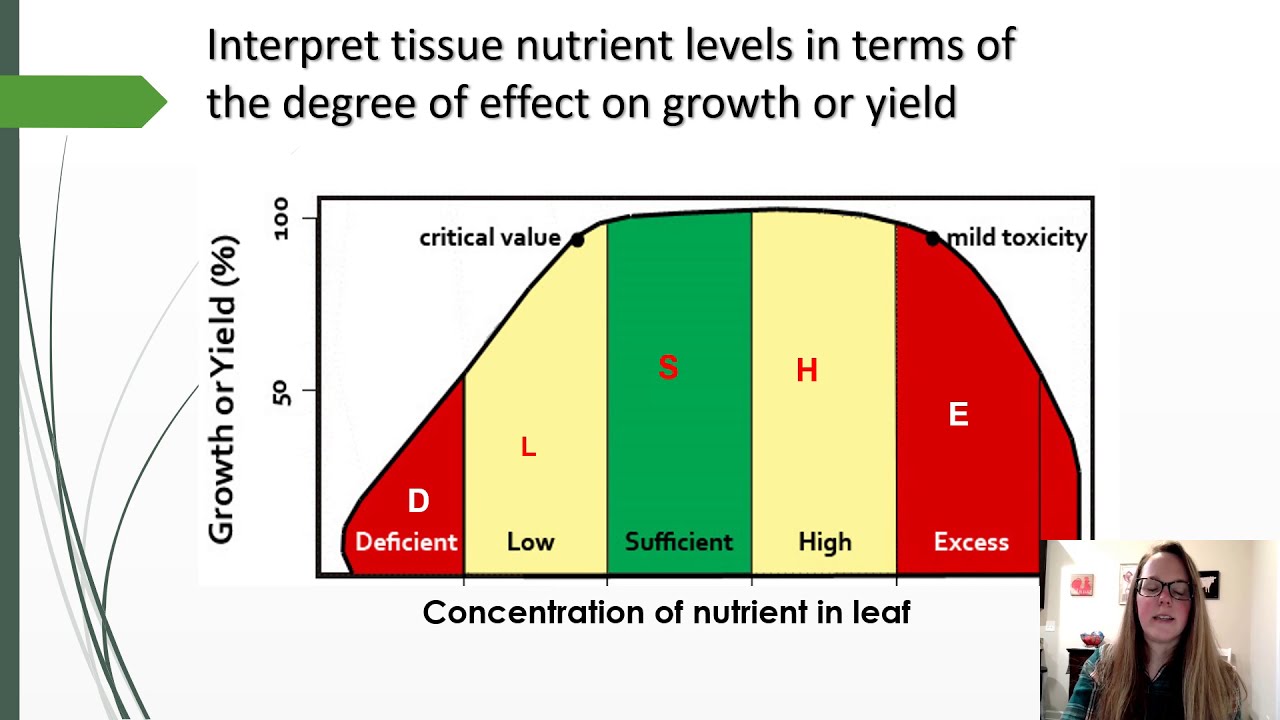Fertility monitoring and petiole sampling