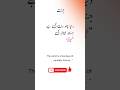 jannat islamic status #Jannat #Akhirat #IslamicQuotes