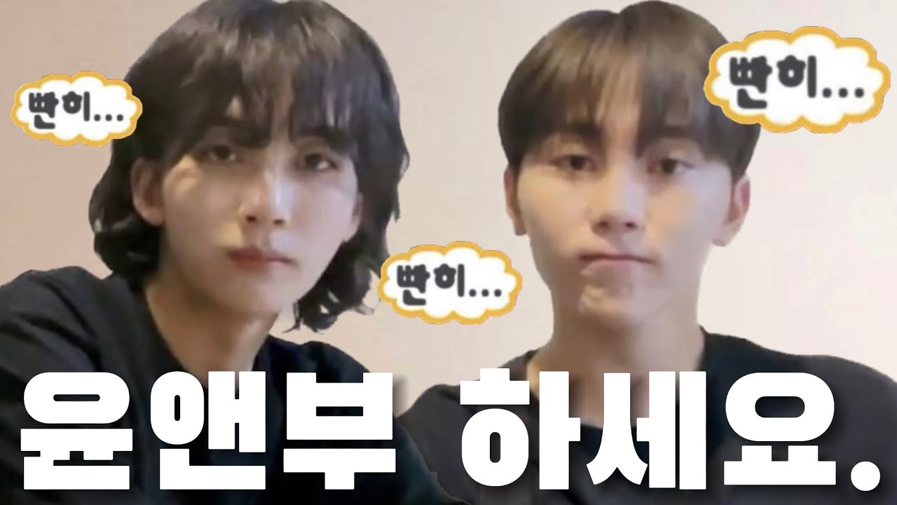 [세븐틴] 윤앤부 ㅎㅏㅅㅔㅇㅛ.ㅣ정한x승관 관계성 모음