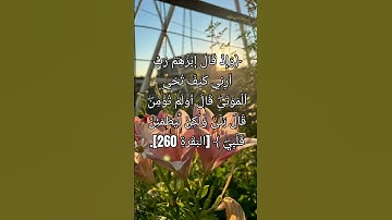 تلاوة رائعة من سورة البقرة🫀 #القرآن_الكريم #قرآن #قران_كريم #لايك #اكسبلور #quran #reels #islam#duet
