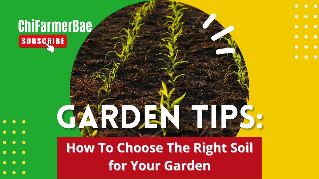 How To Choose The Right Soil | Tips for Starting A Garden | What Soil ...