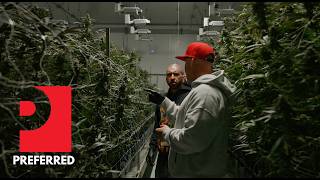 Inside the grow with Preferred Gardens × Backpack Boyz. 🌱