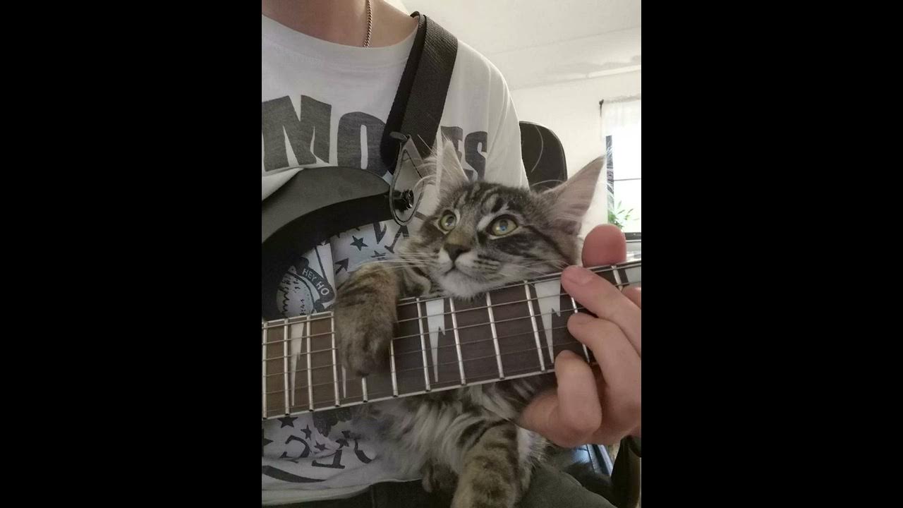 Кис-кис adrenalin stadium. Кис кис как перестать беспокоиться и начать жить обложка. Песни кис кис падик. Кис-кис - studio live session. Кис кис группа постер.