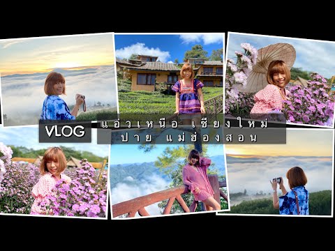 VLOG : แอ่วเหนือ #เชียงใหม่ #ปาย #แม่ฮ่องสอน 😁✈️❤️