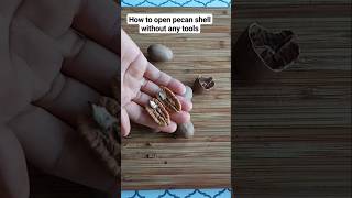 How To Open Pecan Shell