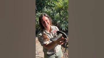 This is a beautiful snake neck turtle🤩