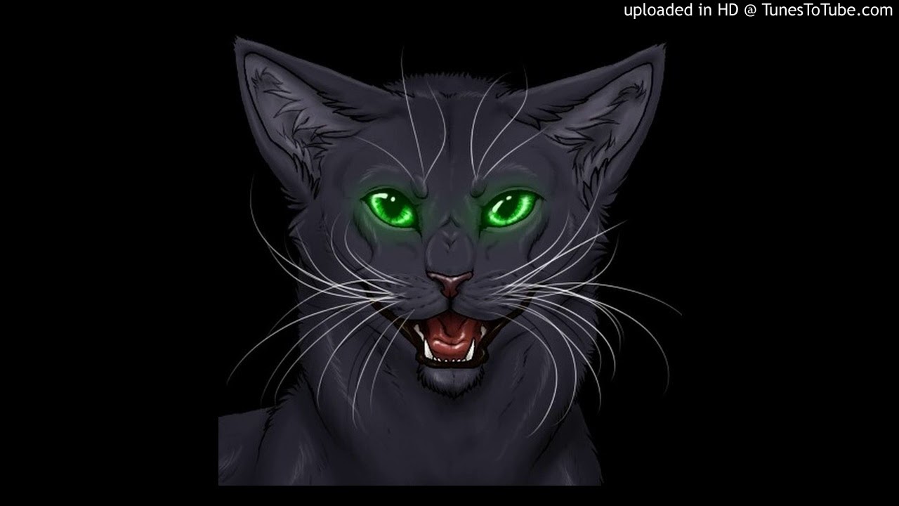 Коты воители картинки остролистая