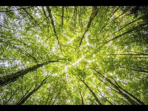 Guarda 空と風とこの大地と【つよぽん：オリジナル曲】 su YouTube