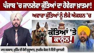 Punjab Government Action on Stray Dogs | Supreme Court Approval |Bhagwant Mann Govt Crackdown Begins