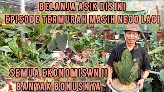 Download Lagu SPESIAL EPISODE TERMURAH ‼️BELANJA ASIK DISINI UDAH MURAH BISA NEGO PULA DI ESA NURSERY, GERCEPIN AJ MP3 Download Lagu SPESIAL EPISODE TERMURAH ‼️BELANJA ASIK DISINI UDAH MURAH BISA NEGO PULA DI ESA NURSERY, GERCEPIN AJ MP3