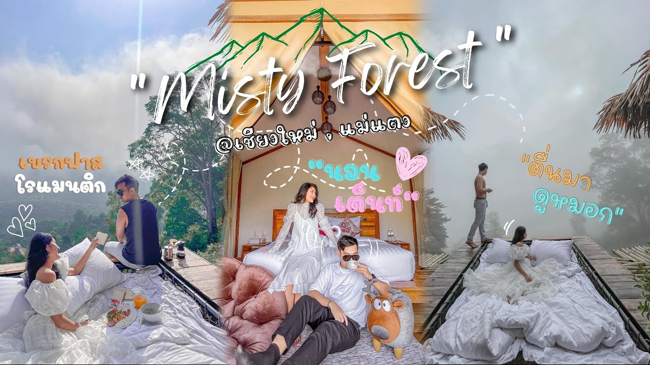 Chiang Mai | EP.1| นอนดูหมอก ที่ บ้านป่าหมอก Misty Forest | #แม่แตง #เชียงใหม่ #Vlog