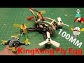 Kingkong FLY EGG 100 100mm Racing Drone - Review And Test Flight