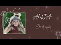 ANJA | Ek Is Tuis (Lyric Video - C Lyrics)