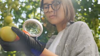 New council calls for national nutrition research moonshot