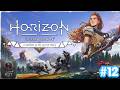 HORIZON ZERO DAWN (PARTE 12)