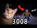 ПОСТРОИЛИ БАШНЮ НА САМЫЙ ВЕРХ В 3008 | Roblox