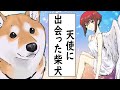 【奇跡？】天使になったニワトリに再び会った柴犬【アニメ】【漫画】【世界の終わりに柴犬と】