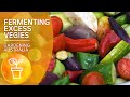 Fermenting vegetables is good for you and cuts down on food waste | Gardening Australia