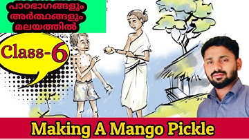 Making A Mango Pickle | Making a mango pickle story malayalam | English class 6 | Kite victers STD 6