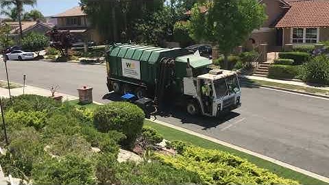 Rare WM Mack LE Octo Amrep 101630 on trash