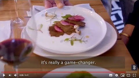 Feeding the Future Technion Prof. Shulamit Levenberg and Aleph Farms