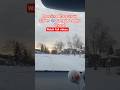 ❄️ After Snow Storm Drive 🚗🇨🇦 | Silent Winter Roads &amp; Fresh Snow POV #Shorts