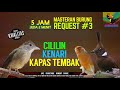 REQUEST MASTERING #4...JOSS GANDOOSSSS...3 in 1 MASTERAN KICAU BURUNG CILILIN KATEM KENARI..AMBYAAAR