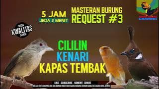 REQUEST MASTERING #4...JOSS GANDOOSSSS...3 in 1 MASTERAN KICAU BURUNG CILILIN KATEM KENARI..AMBYAAAR