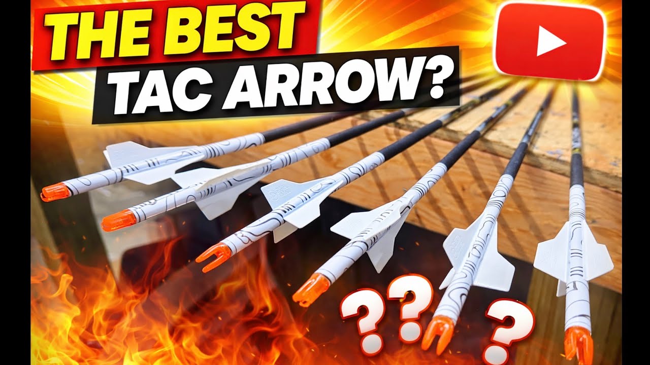 Новая сборка стрел TAC! Ваша любимая сборка стрел? #стрельбаизлука #наприроде #олень #наприроде #...