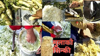 मुलाको सिन्की बनाउने तरिका | Mula ko sinki banaune tarika | Sinki banaune tarika | Gundruk | Sinki