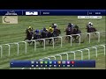 The Jackal wins race two on August 31, 2025 at Kentucky Downs