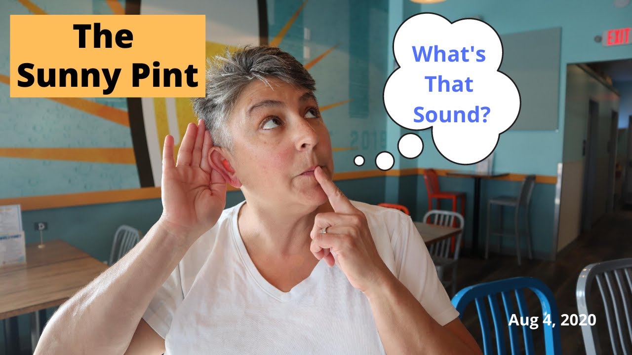 The Sunny Pint - What's That Sound?