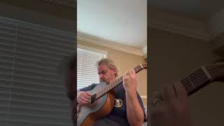 Rainy Day Classical Guitar & Goldendoodle