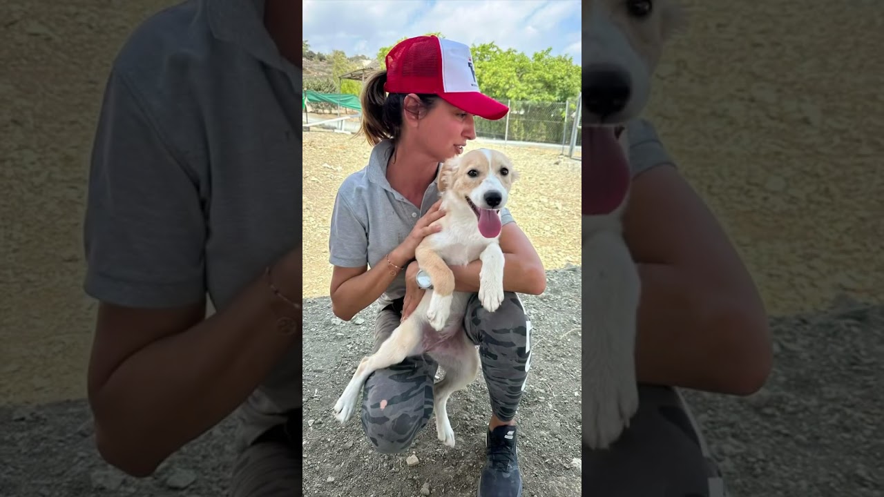 Hi there! Ready to meet the L-team?