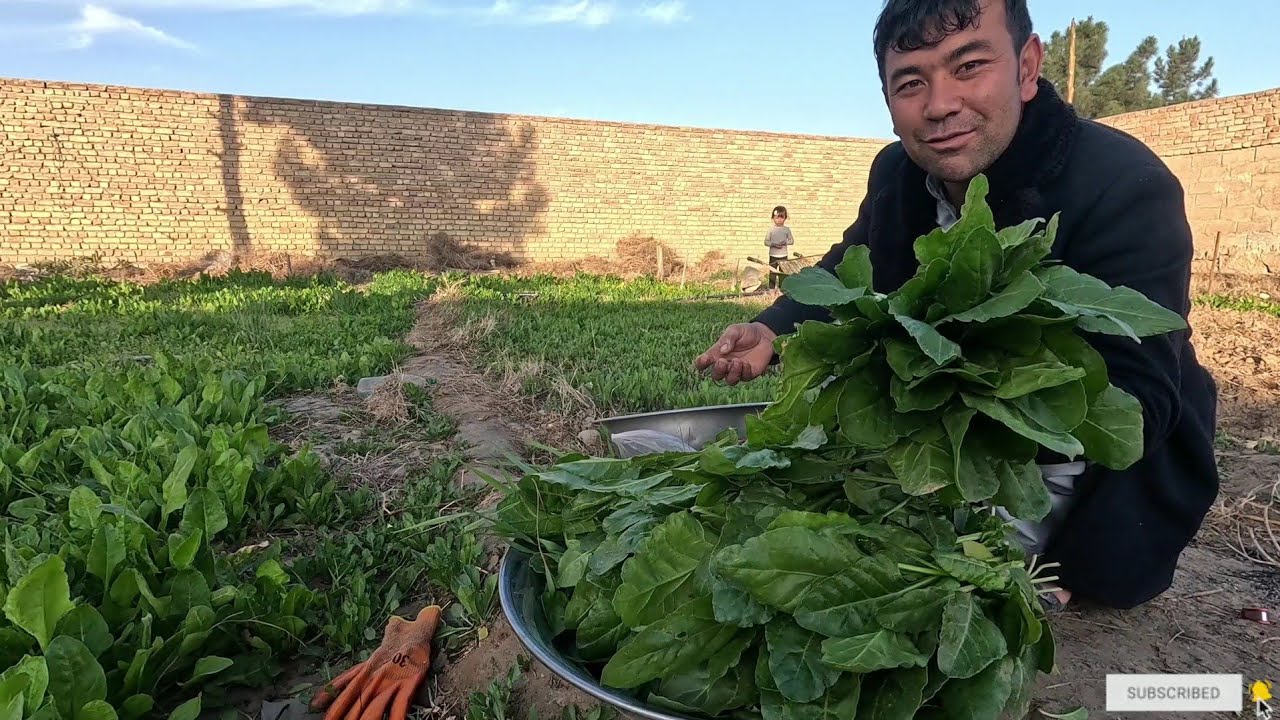 بیایید که ببینیم چطور از فروش پالک پول درآمد میکنم.