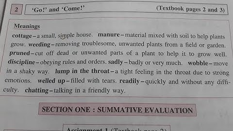 Std. 3 English Lesson 2 Go and Come Digest