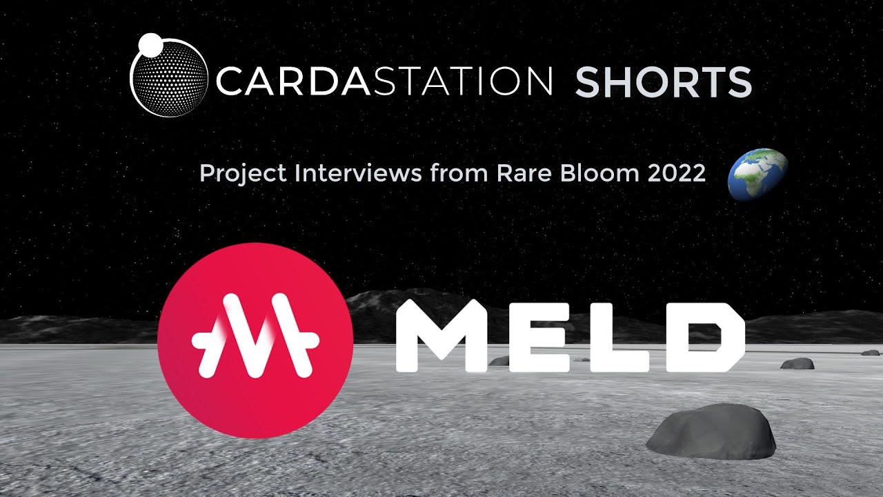 Carda Station Interviews from Rare Bloom 2022 - MELD #shorts - YouTube