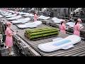 How Millions of Eco-Friendly Pads Are Made from Bamboo Every Day