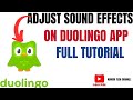 How to Adjust Sound on Duolingo - Music &amp; Sound Effects Settings!