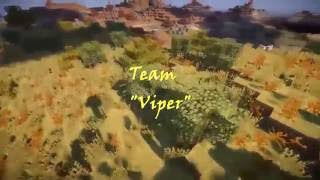 Introducing Team Viper!