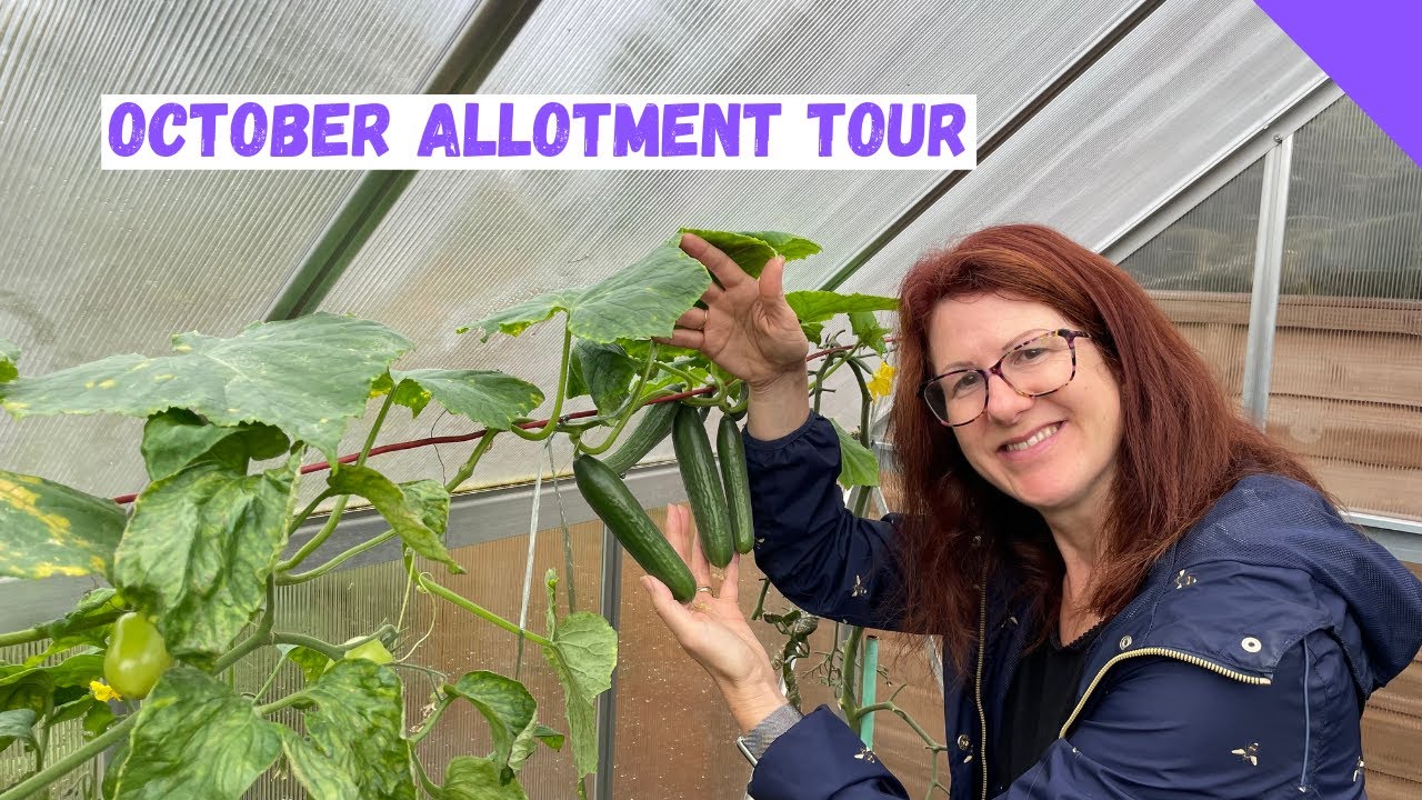 October Allotment Garden Tour - Allotment Gardening For Beginners UK ...