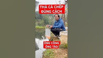 Thả CÁ CHÉP ĐÚNG cách | Ngày ông công , ông táo 2025