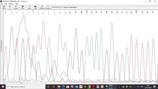 CHROMAS 1 screenshot 5