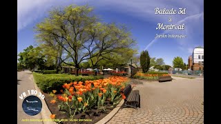 VR180 3D Montreal Botanical Garden
