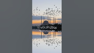 سورة الشعراء {الآية 88} بصوت الشيخ أحمد النفيس ❤️❤️