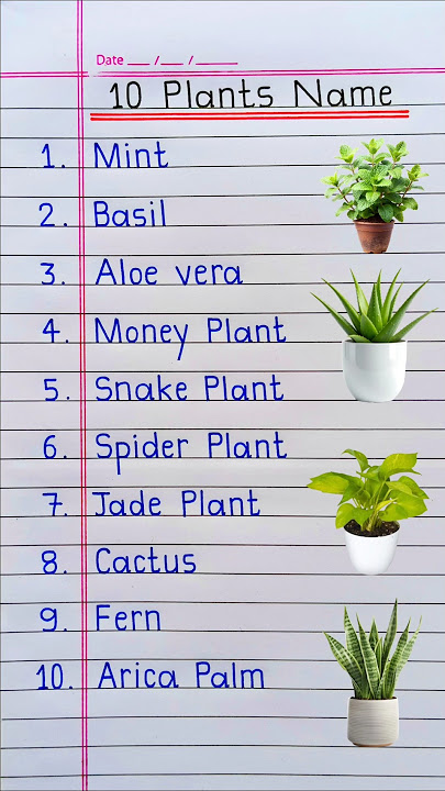 Plants Name | 10 Plants Name | Plants Name in English | Plant Name | Ornamental Plants